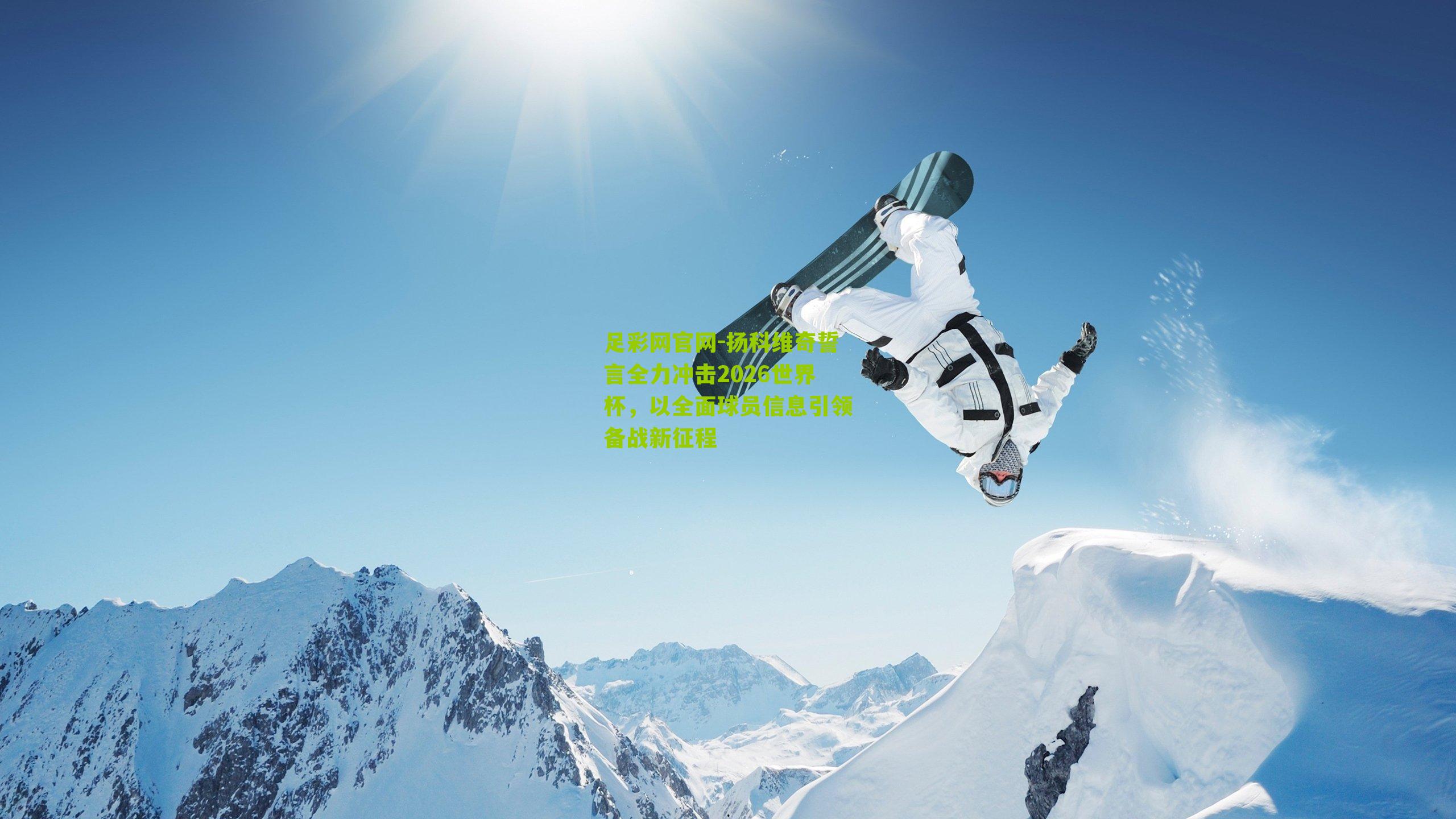 扬科维奇誓言全力冲击2026世界杯,以全面球员信息引领备战新征程