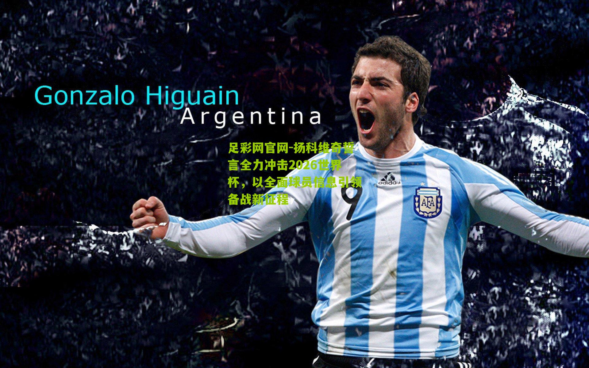 扬科维奇誓言全力冲击2026世界杯,以全面球员信息引领备战新征程