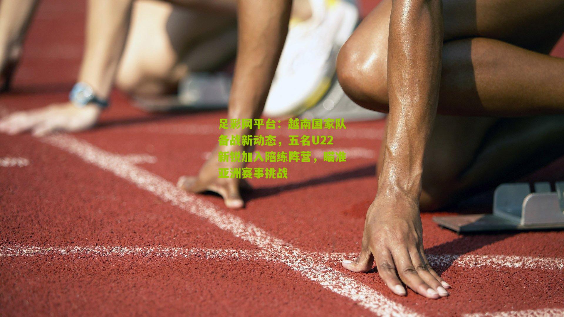 足彩网平台：越南国家队备战新动态，五名U22新锐加入陪练阵营，瞄准亚洲赛事挑战